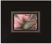 Floral 65<br>(Grey agate)<br>Framed